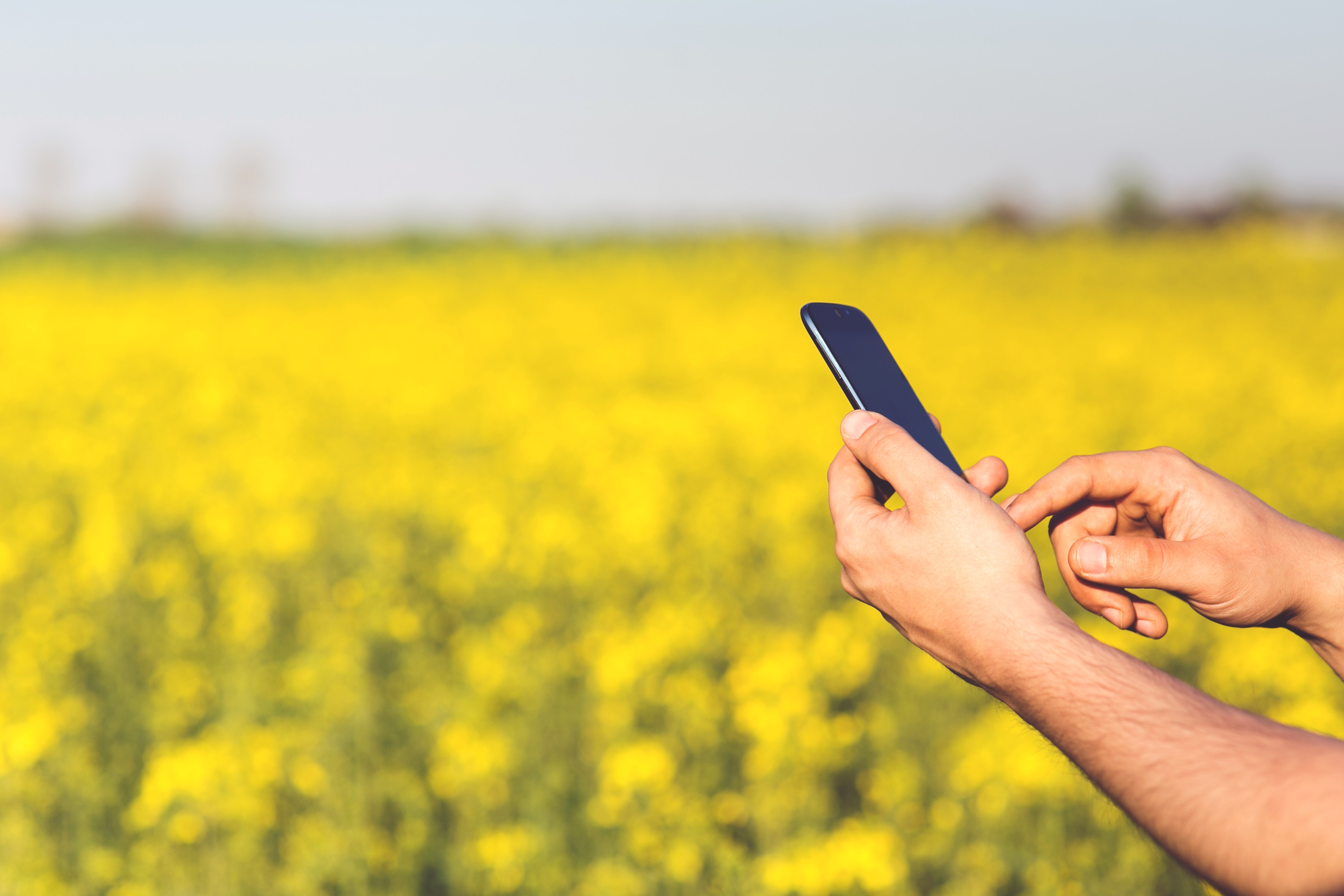 Agriculture App A Touch Of Modern Technology In Agriculture