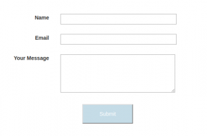 forms to go submit redirect