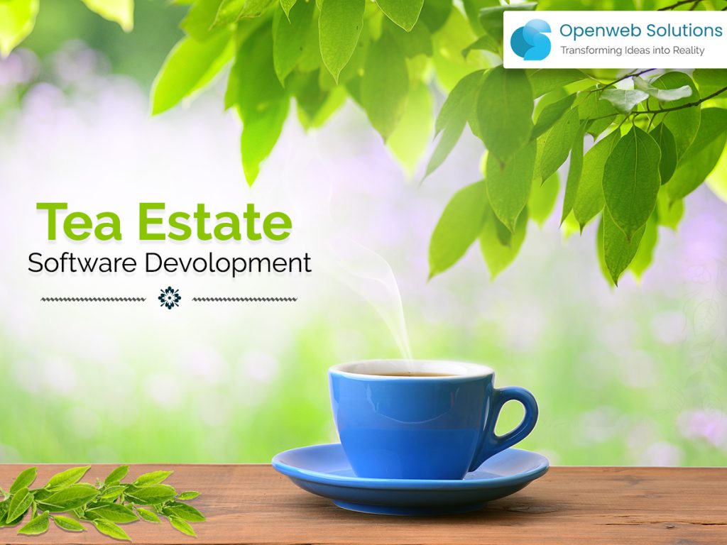 Software A Tea agriculture software development Archives - Openweb Solutions Blog