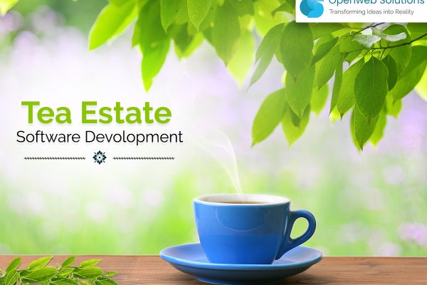 Tea-estate Software Development: 8 Features to Manage Your Estate