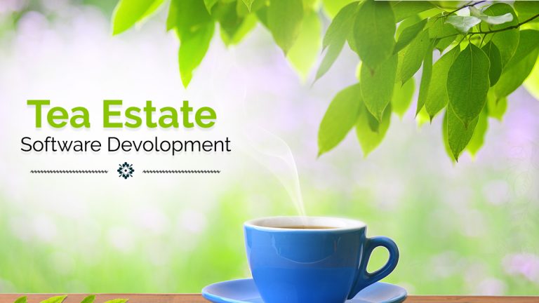 tea-estate software development